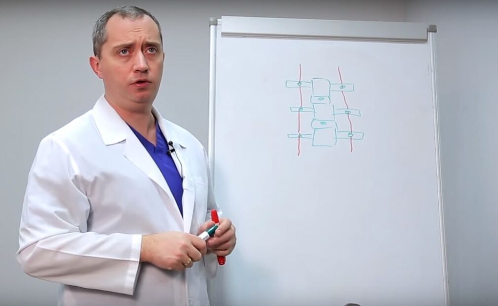 Mjeku tregon strukturën e shtyllës kurrizore